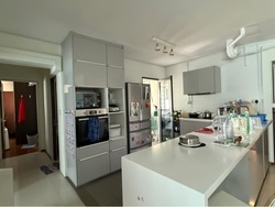 Blk 1G The Pinnacle@Duxton (Bukit Merah), HDB 4 Rooms #520188801